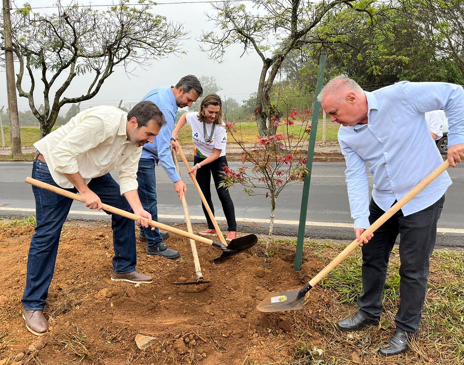 Alcoa realiza o plantio de 80 mudas de árvores na avenida Mansur Frayha