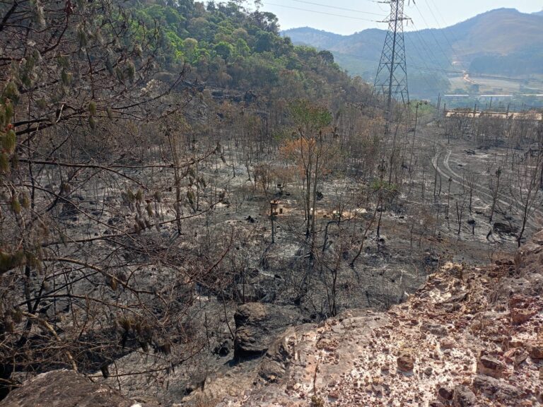 incêndio florestal