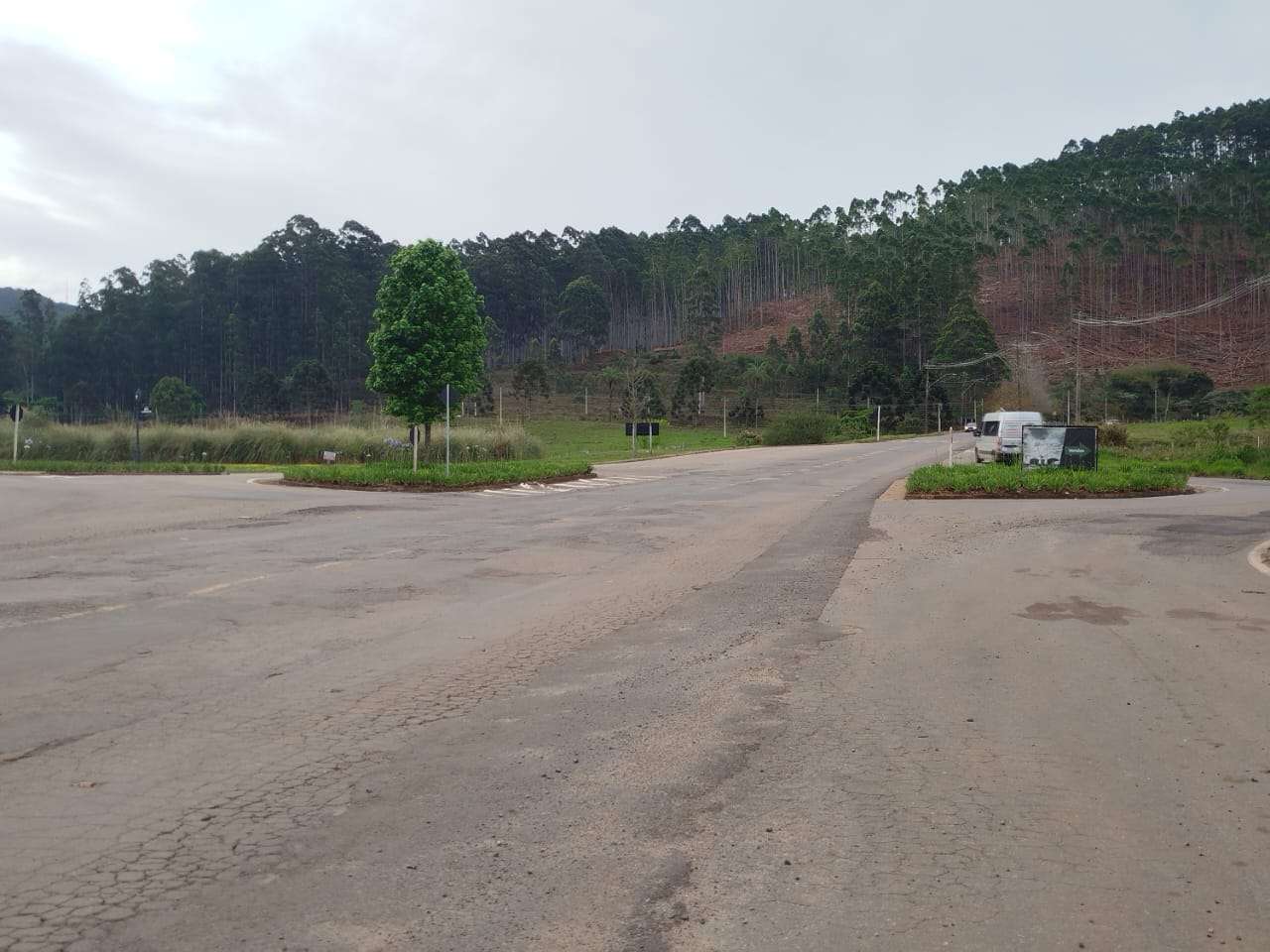 Avenida Celanese é assunto de requerimento