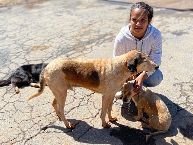 Governo de Minas investe em ações de proteção e bem-estar de animais domésticos