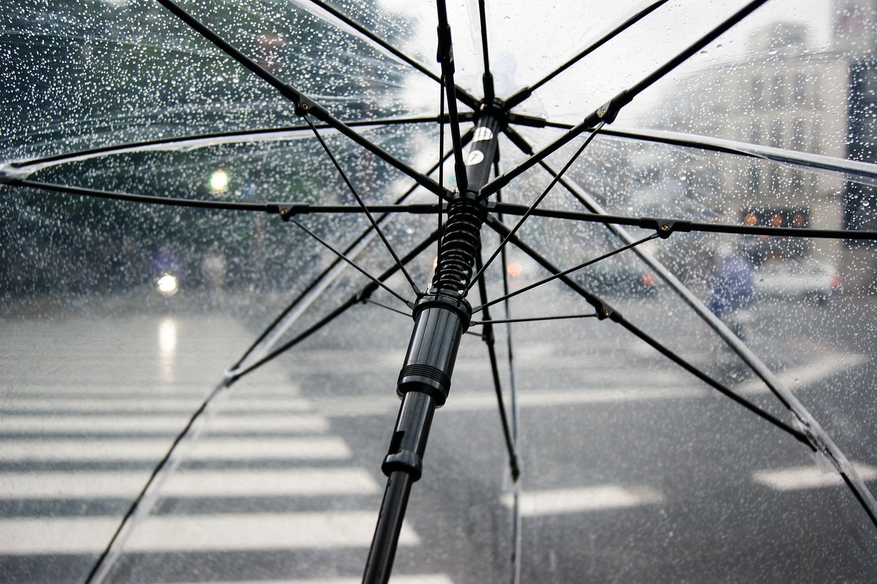 Sudeste: chuva traz mudança no cenário seco e quente