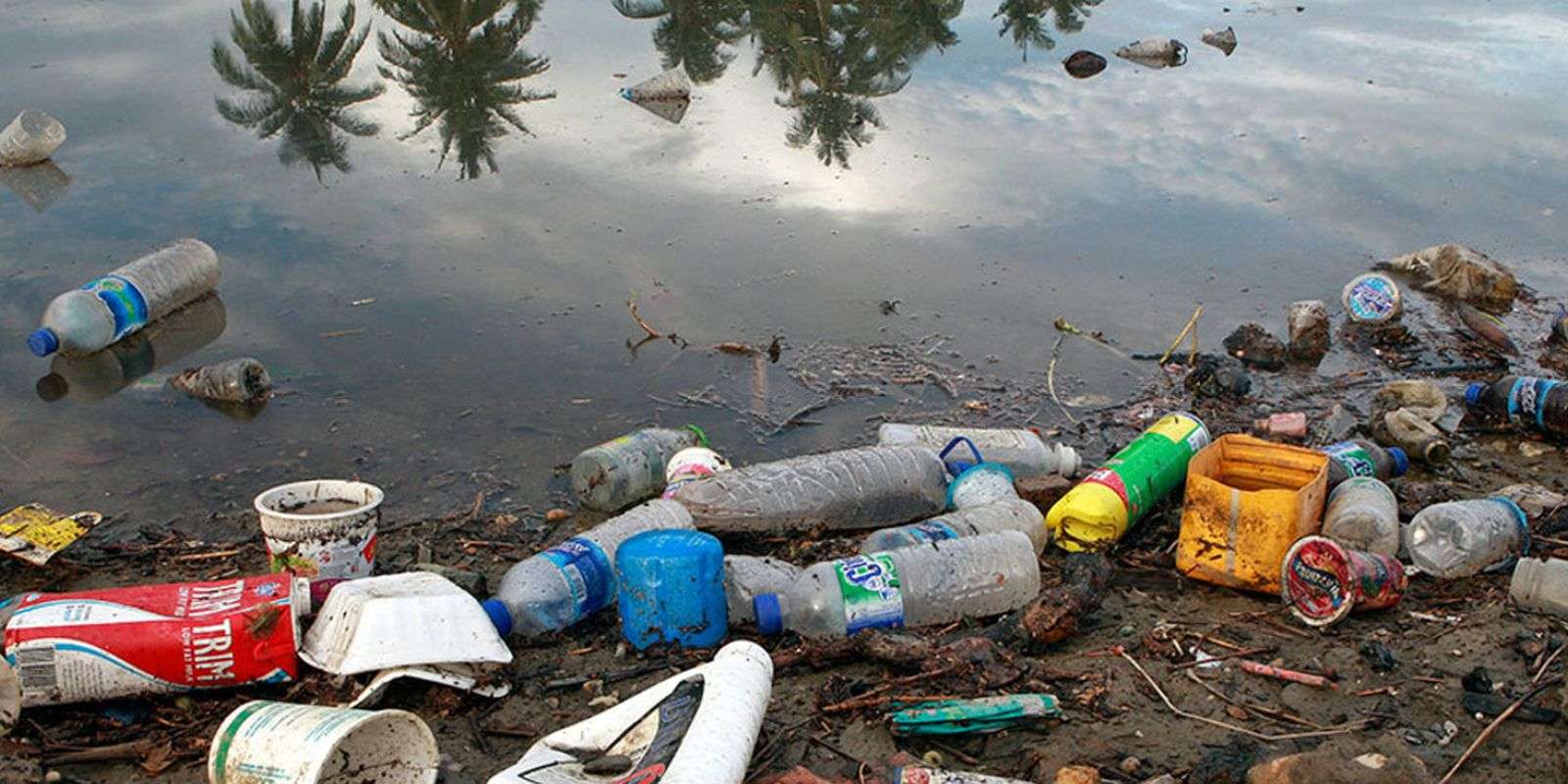 Brasileiros lançam por ano 1,3 milhão de toneladas de plástico no oceano