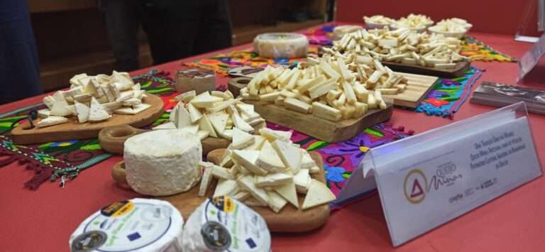 Poços Já produz série de reportagens sobre o Queijo Minas Artesanal