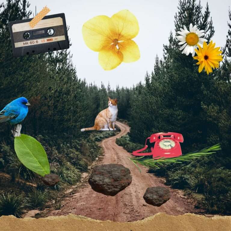 Artista poços-caldense apresenta a exposição ‘Sendas’ com colagens analógicas