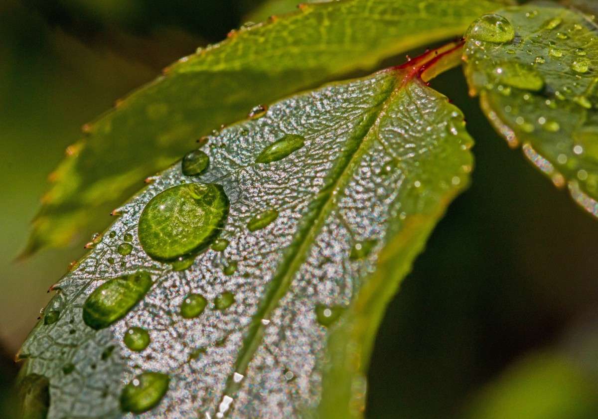 Sol e chuva vão marcar o clima neste Finados no Sudeste