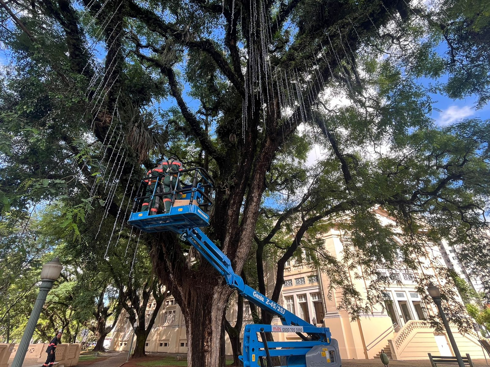 Enfeites de Natal começam a ser instalados; decoração terá 1,6 milhão de lâmpadas