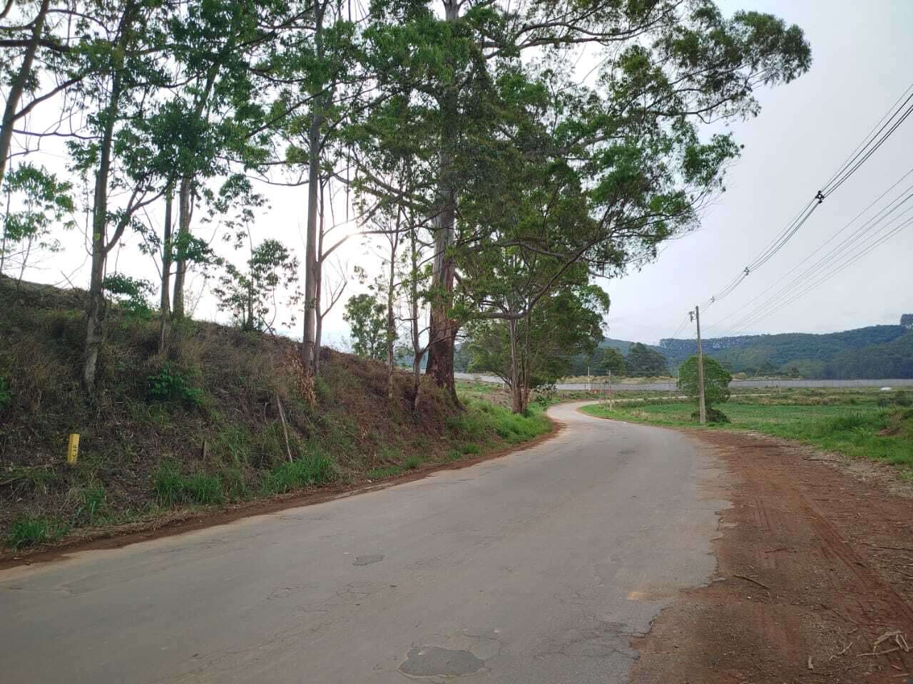 Avenida Celanese continua sem perspectiva de recuperação