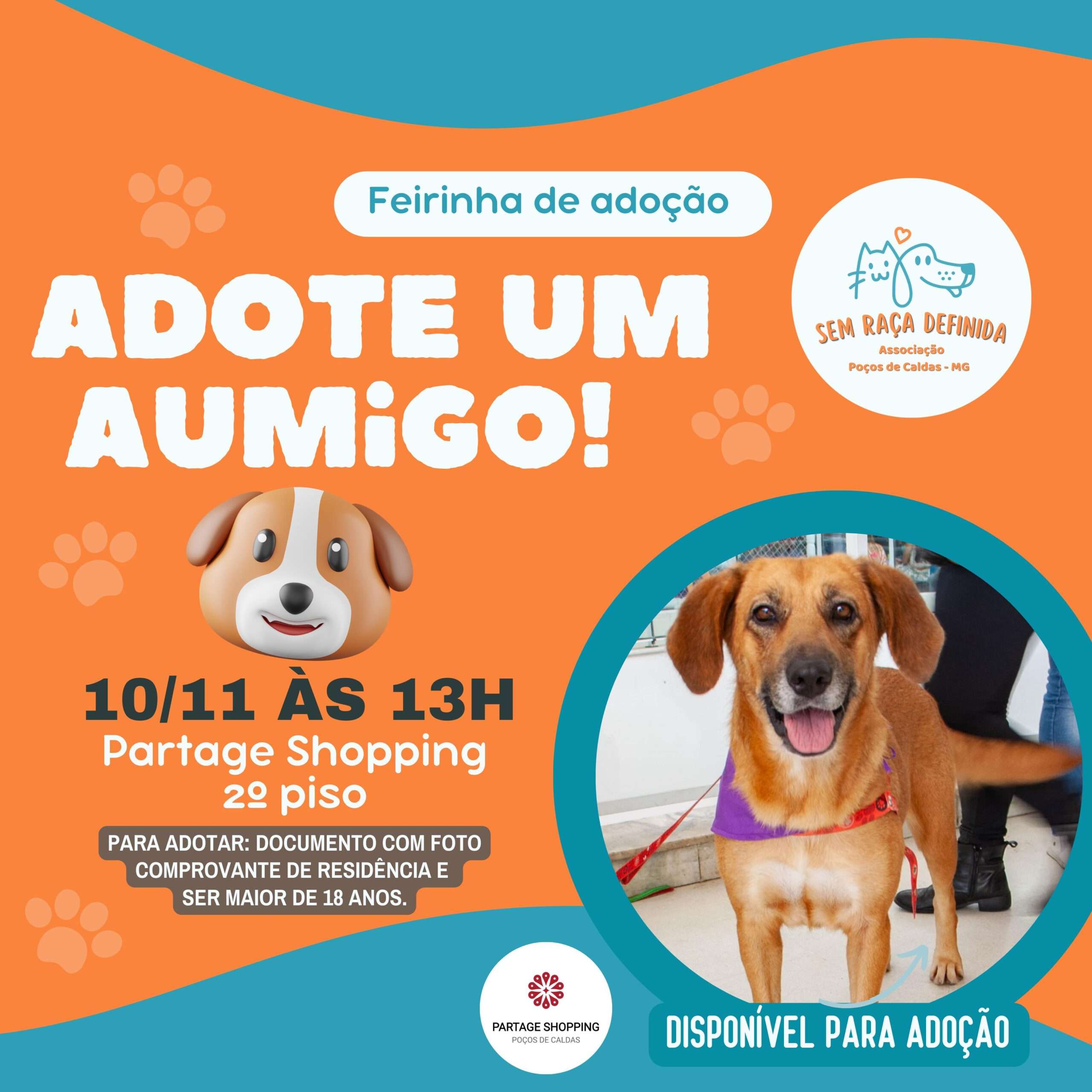 Domingo tem feira de adoção de animais no Partage Shopping