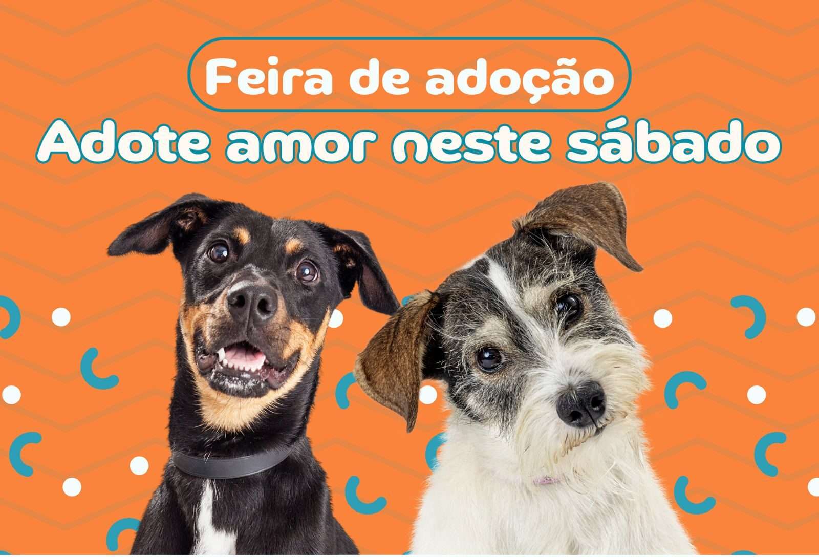 Neste sábado tem Feira de adoção de cães