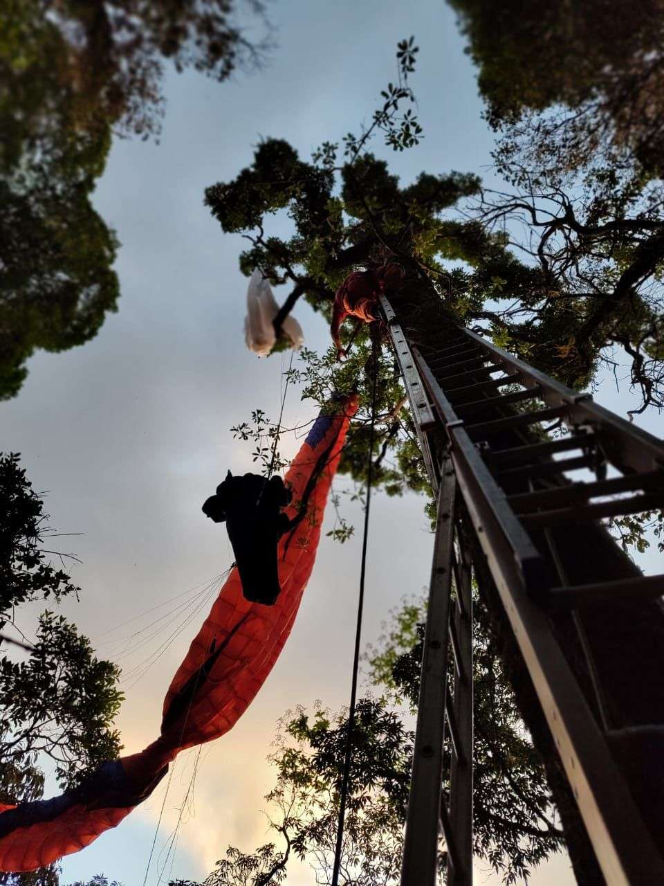 Bombeiros resgatam piloto de paraglider preso em árvore no Pico do Gavião