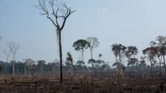 Cinema do IMS Poços tem programação diversificada no fim de semana