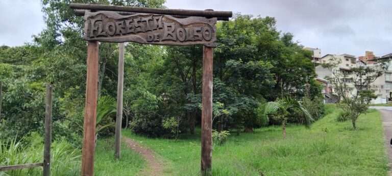 Floresta de Bolso completa sete anos com 2.200 árvores plantadas em áreas urbanas