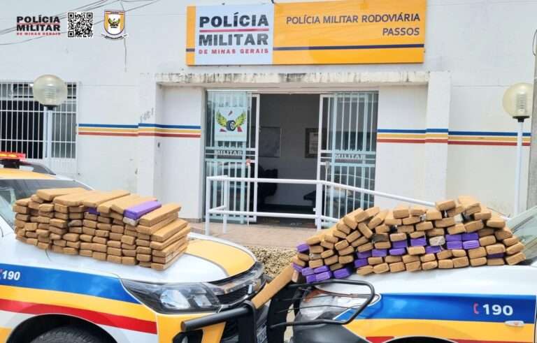 172 tabletes de maconha