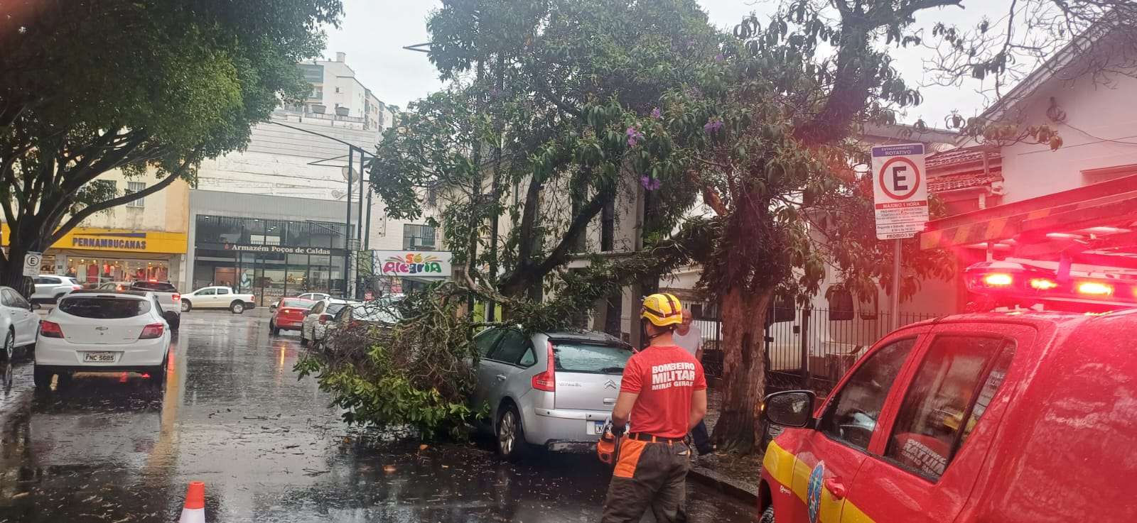 Árvore cai e danifica veículo estacionado no centro