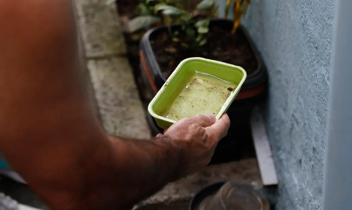 Calor e chuvas intensas aumentam proliferação do Aedes aegypti