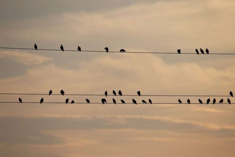 Tem desligamentos de energia nesta segunda-feira; confira