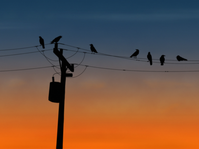 Tem desligamento de energia nesta quinta-feira. Confira os locais