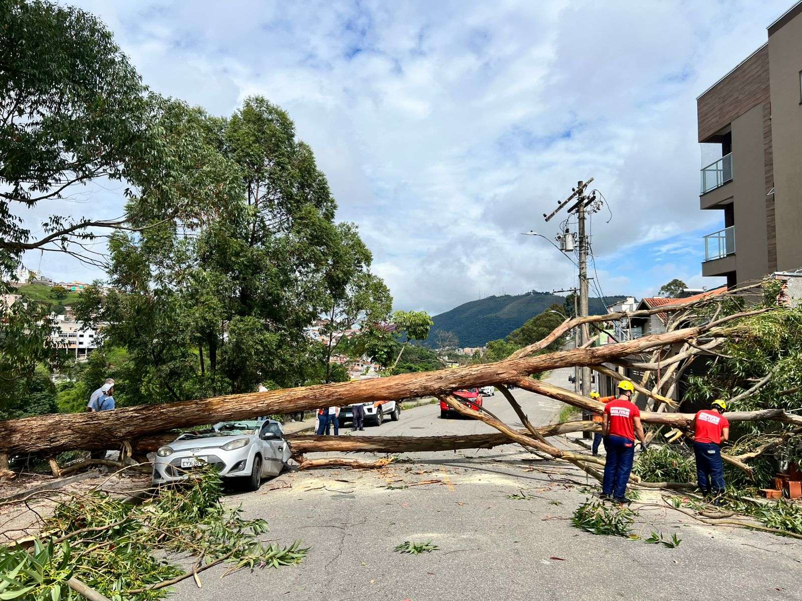 Árvore cai e destrói veículo no Primavera
