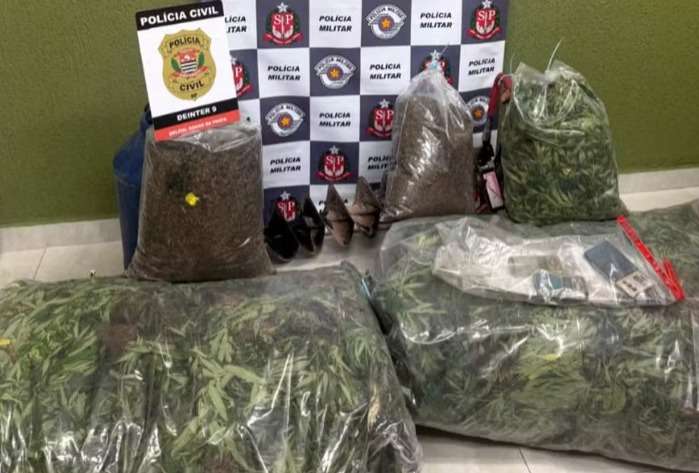 Mulher é presa com mais de 70kg de maconha, drogas eram cultivadas na casa dela