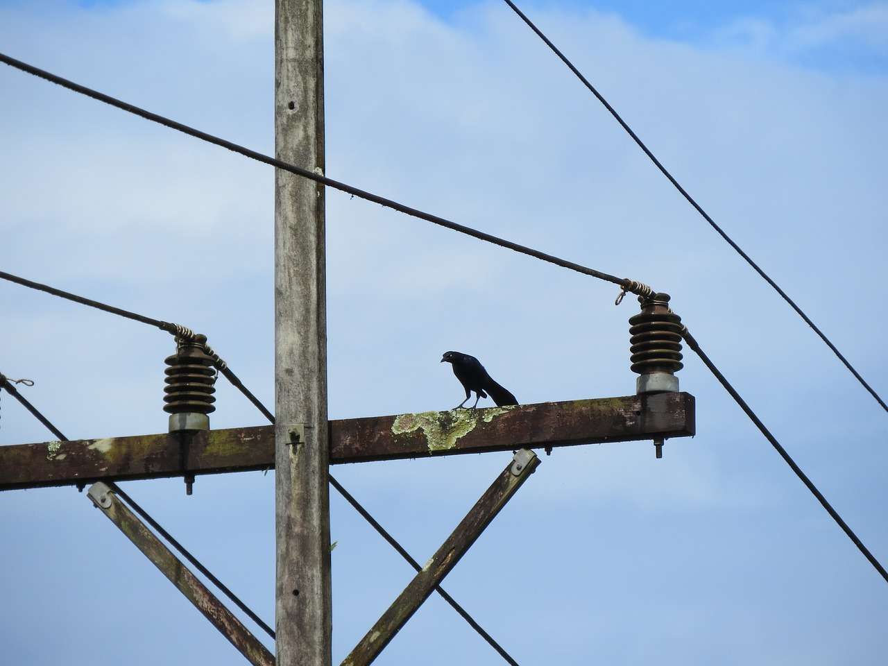 Desligamento de energia no Jardim Paraíso; confira as ruas