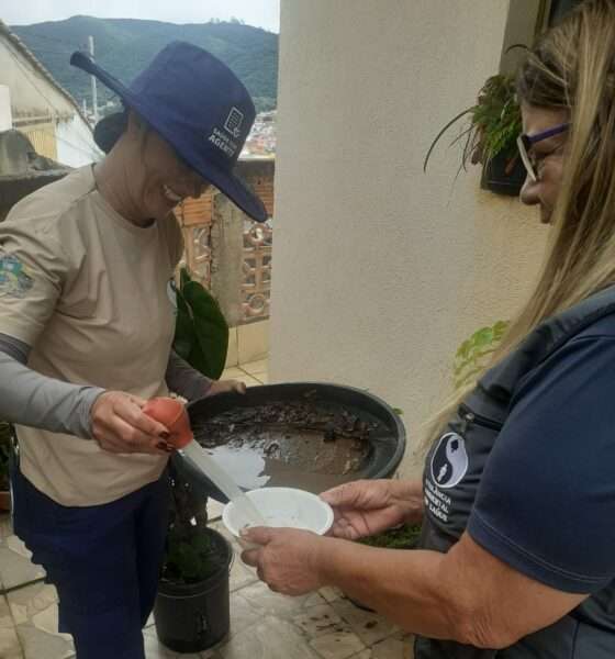 Aedes aegypti: Vigilância Ambiental inicia levantamento de infestação em Poços