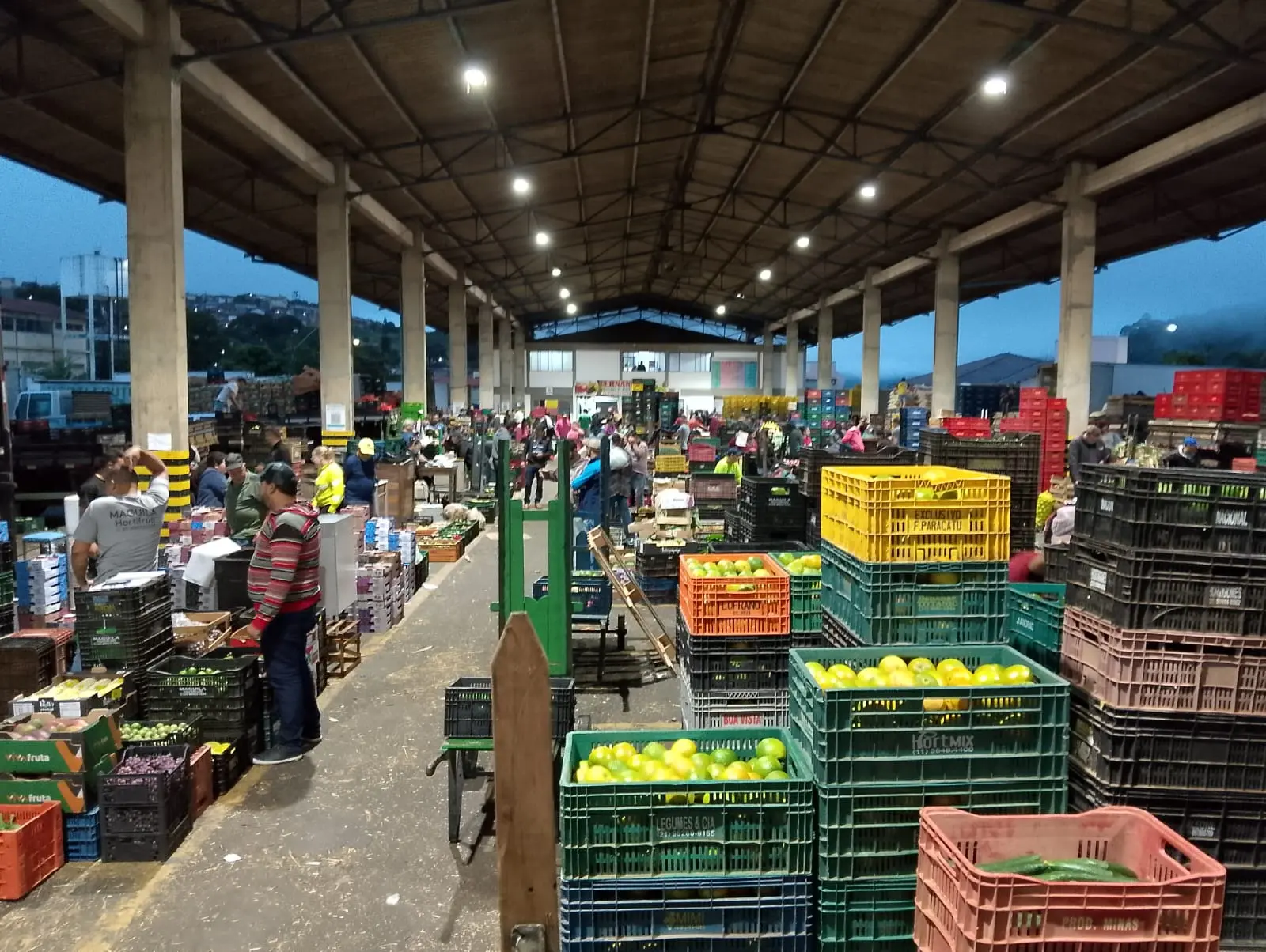 Confira a cotação de mercadorias da Ceasa Poços deste início de semana