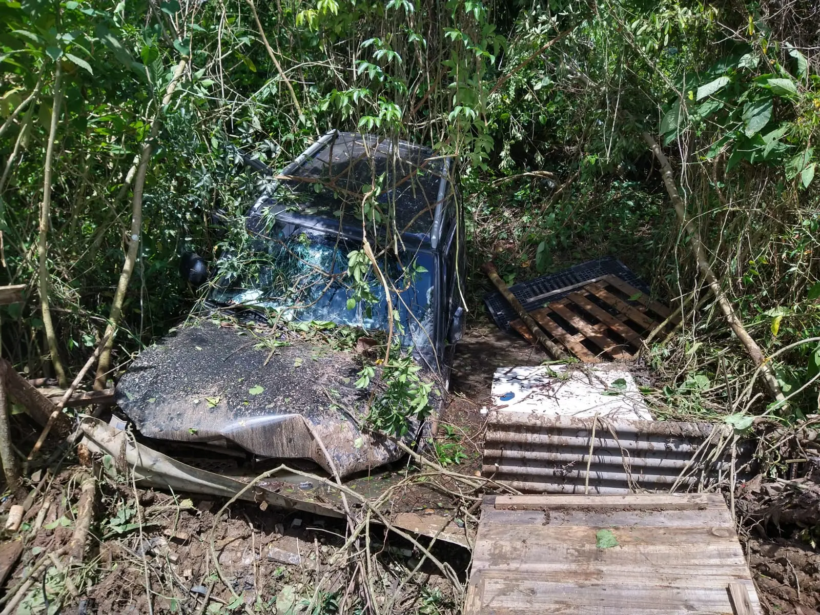 Bombeiros socorrem condutora após carro cair em barranco e ficar parcialmente submerso