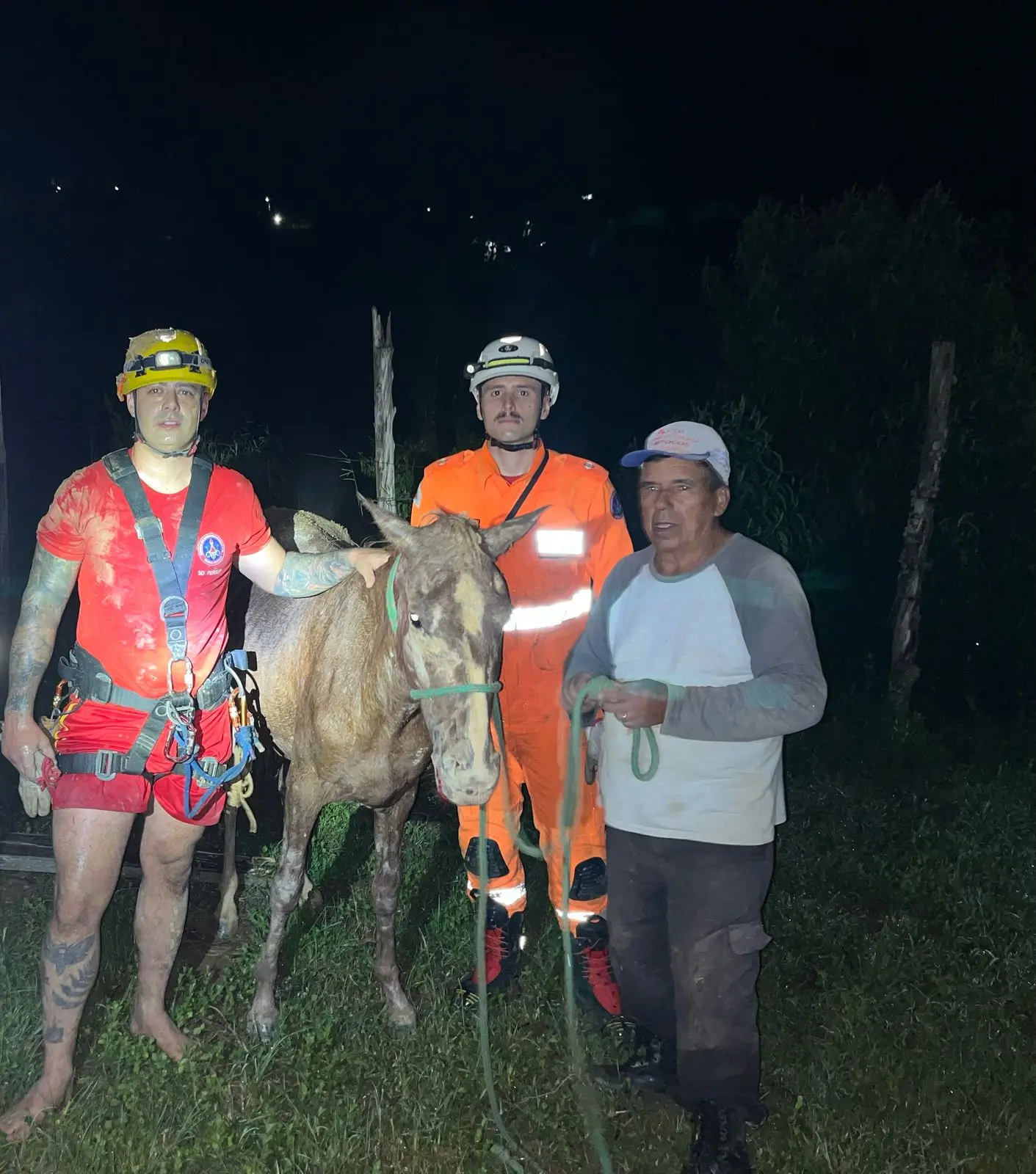 Bombeiros resgatam cavalo em cisterna e calopsita presa em alambrado