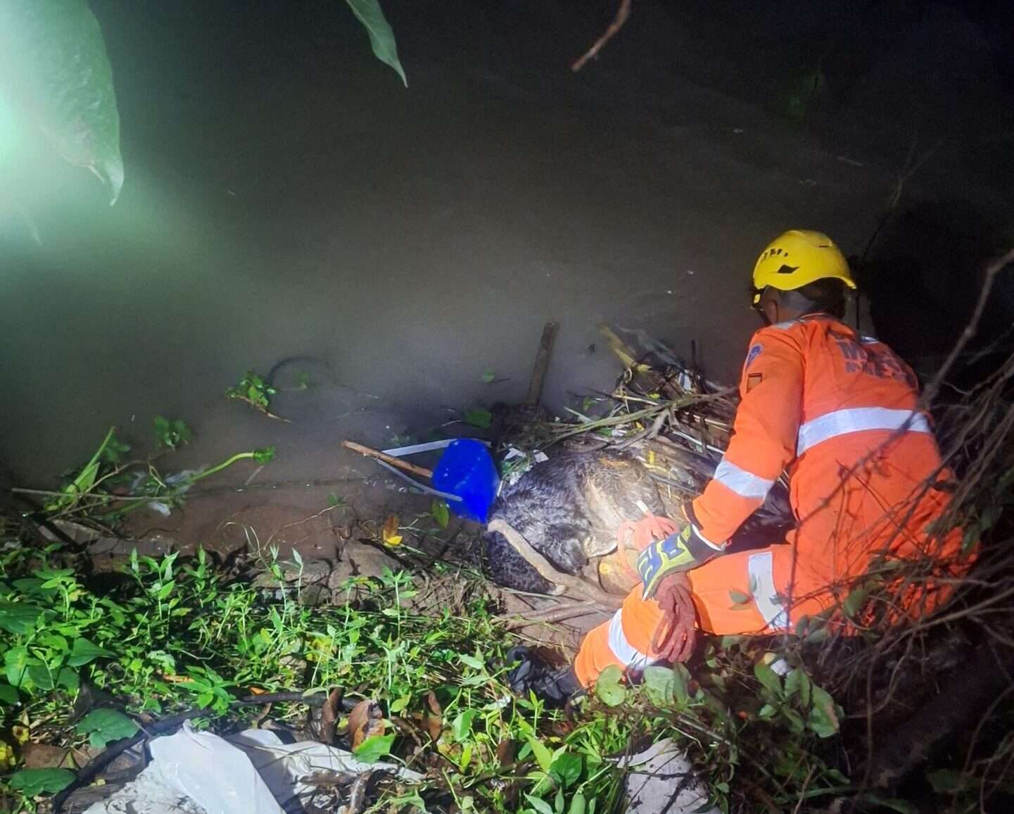 Bombeiros resgatam cachorro em perigo às margens de córrego