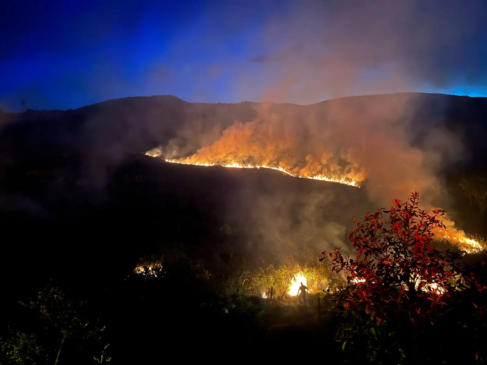 Incêndio mobiliza Corpo de Bombeiros em Poços