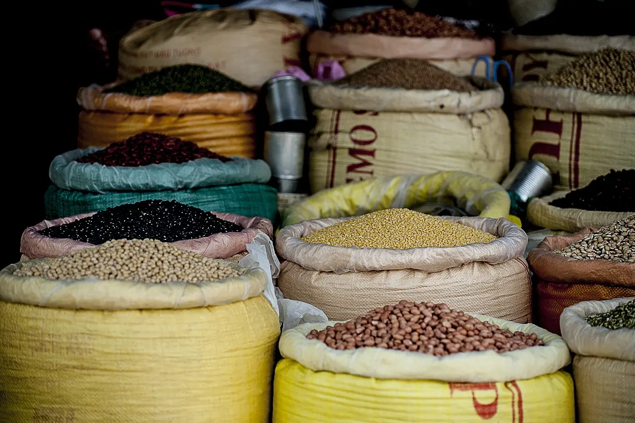 Dia Mundial do Feijão: alimento estratégico na luta contra a fome