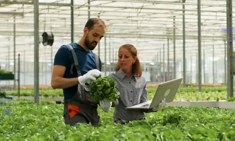 Sebrae seleciona bolsistas para programa rural no sul de Minas