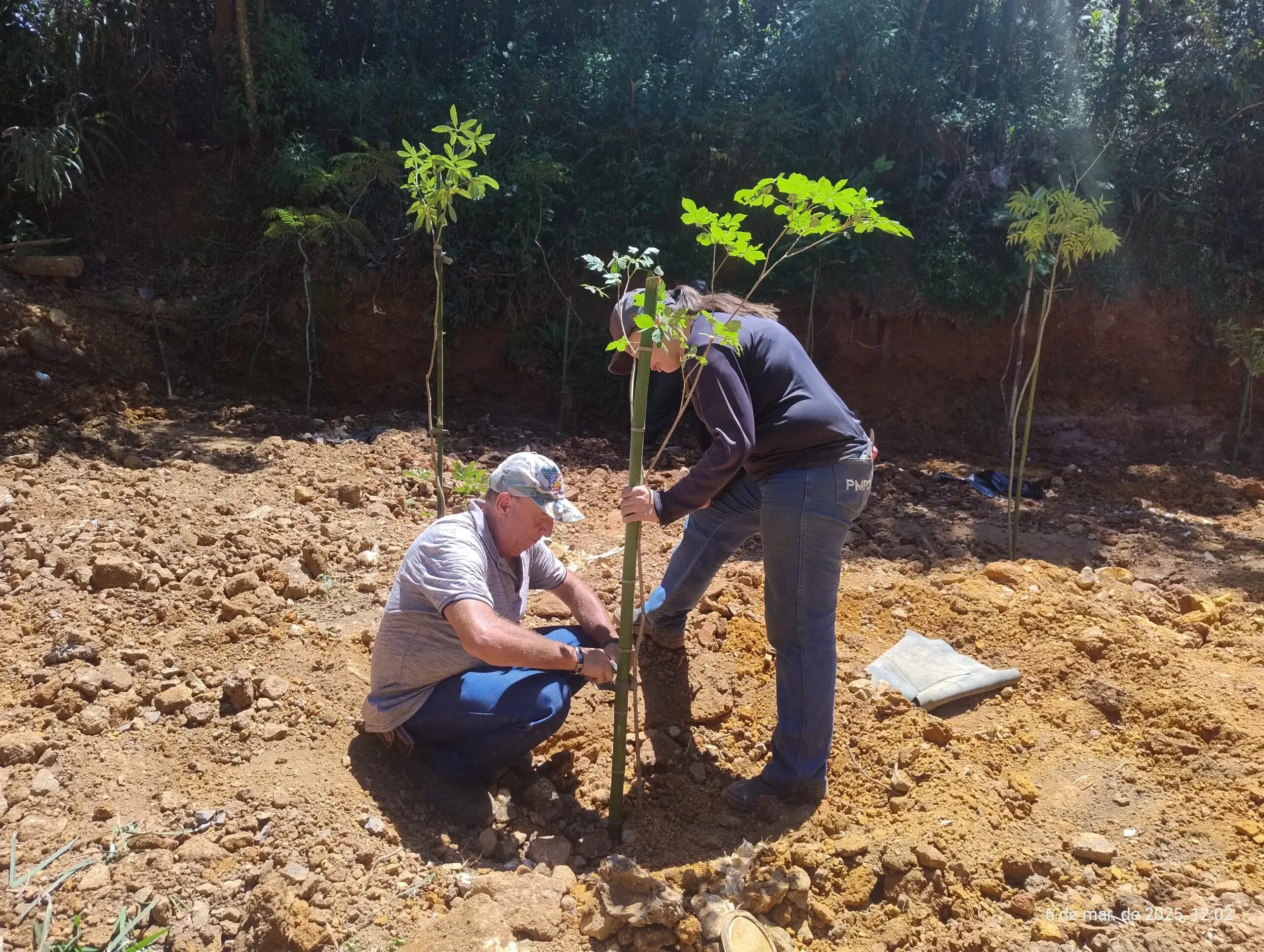 Secretaria realiza limpeza e planta árvores na serra do selado 