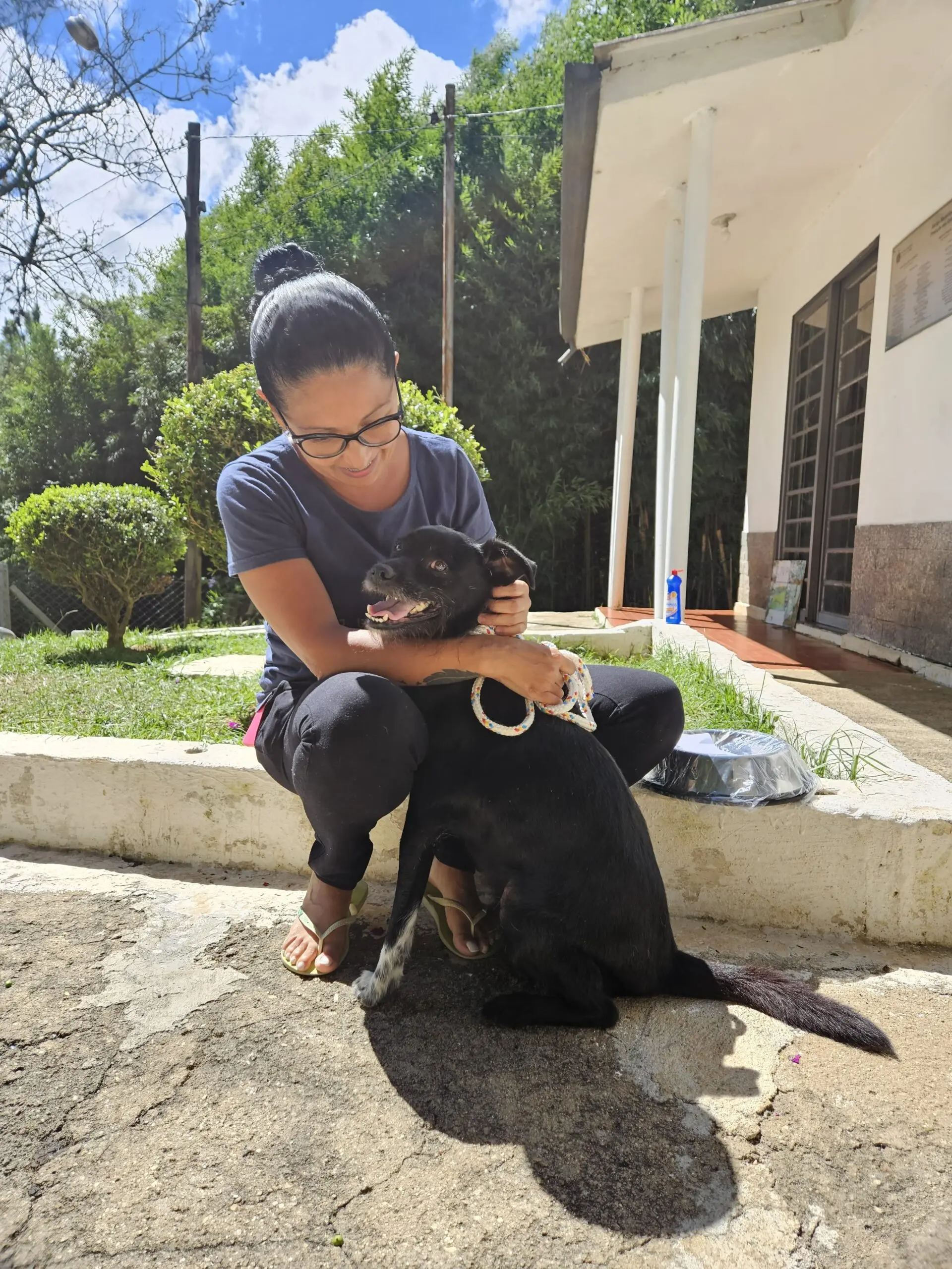 Cão desaparecido há mais de 2 anos é reencontrado após publicação da prefeitura