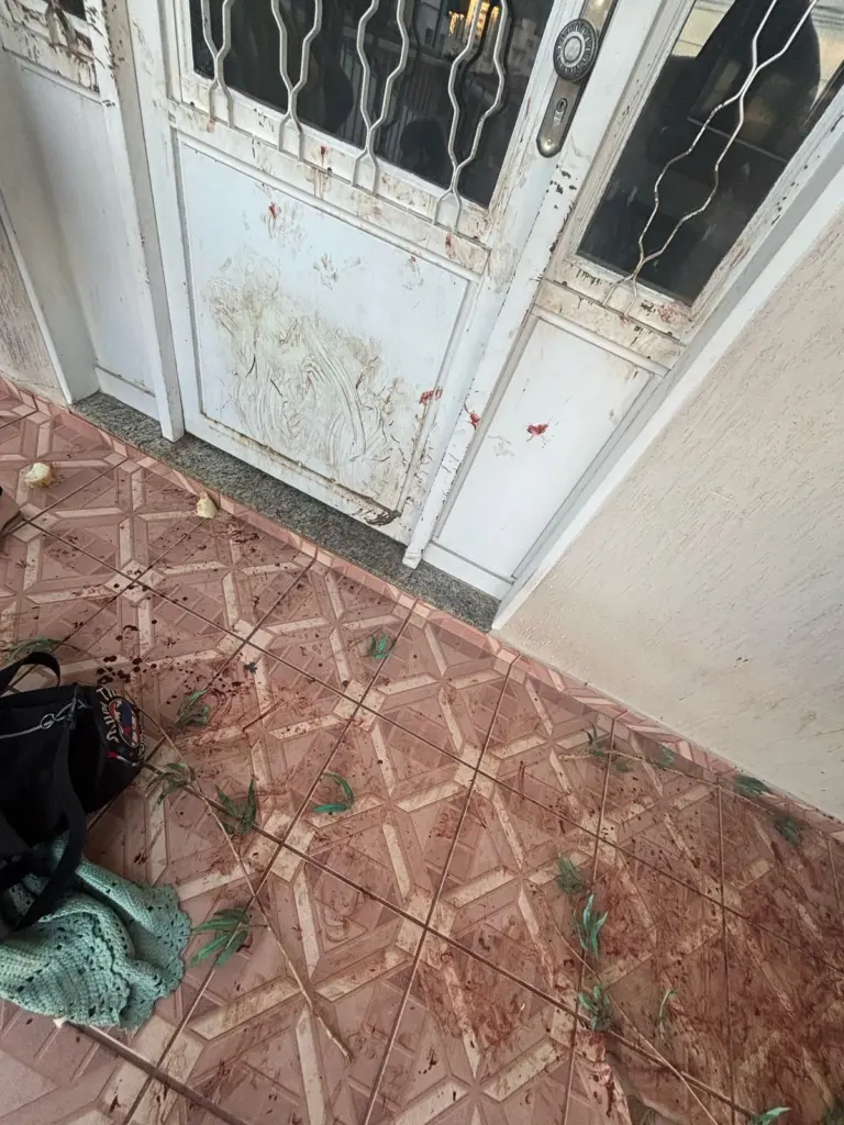 Cachorra se desespera com fogos de artifício em Poços e tem ferimentos graves