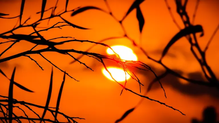 Brasil registra calor histórico no verão e natureza já não segura o aquecimento
