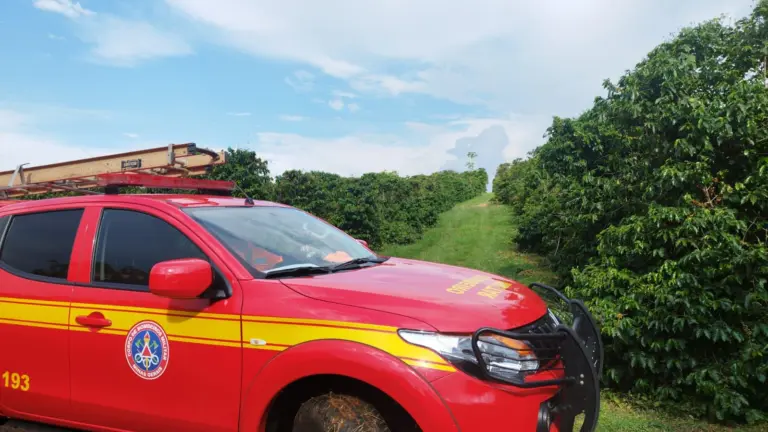 Corpo parcialmente soterrado é encontrado em área rural de Andradas