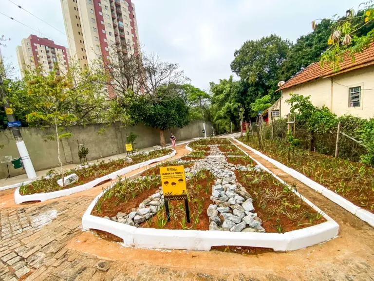 Cidades brasileiras apostam em jardins de chuva para minimizar alagamentos﻿