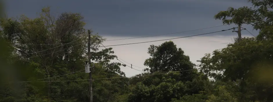Sul de Minas pode ter acumulados de chuva entre 50 e 80 mm, prevê Simge