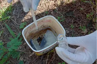 Águas da Prata registra 19 casos confirmados de dengue