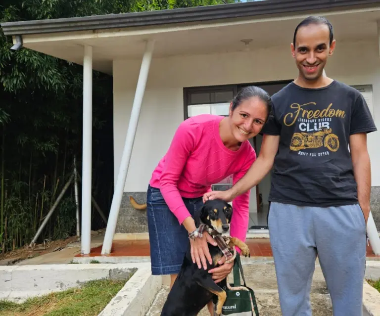 Cães do Abrigo Municipal ganham novos lares