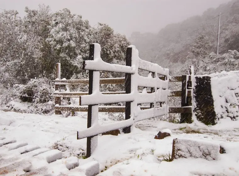 Brasil poderá ter neve pela primeira vez este ano