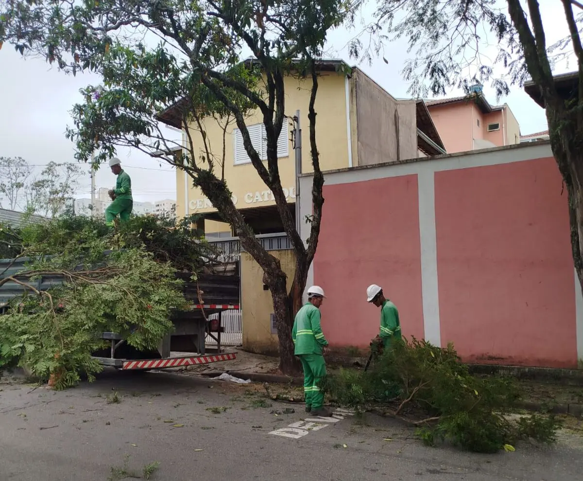 Prefeitura registra mais de 1.600 serviços de manutenção na arborização urbana