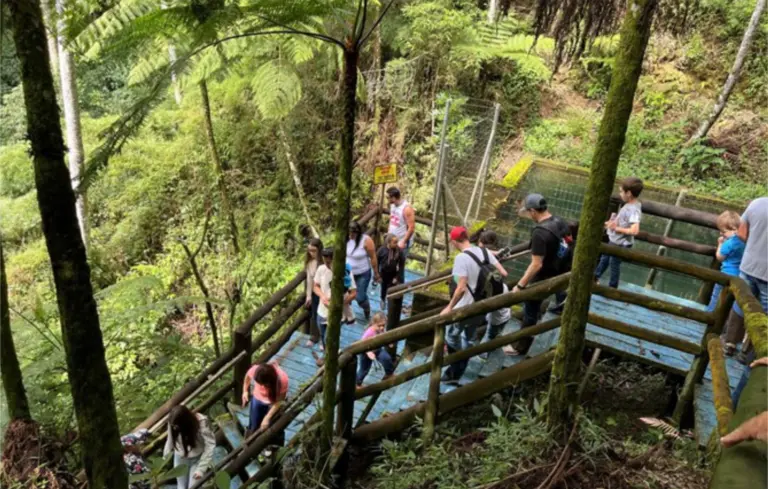 Parque Ambiental da Alcoa Poços celebra 32 anos como polo de pesquisa e educação