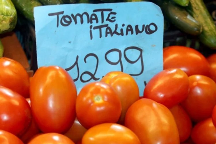 Coluna MG: preço do tomate sobe 32% Coluna MG: preço do tomate sobe 32%