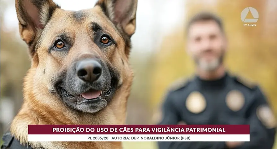 Projeto proíbe cães de guarda em serviços de vigilância patrimonial