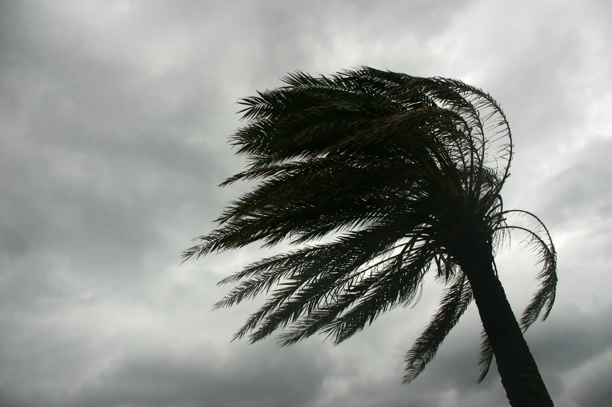 Sul do país enfrenta um ciclone nos próximos dias