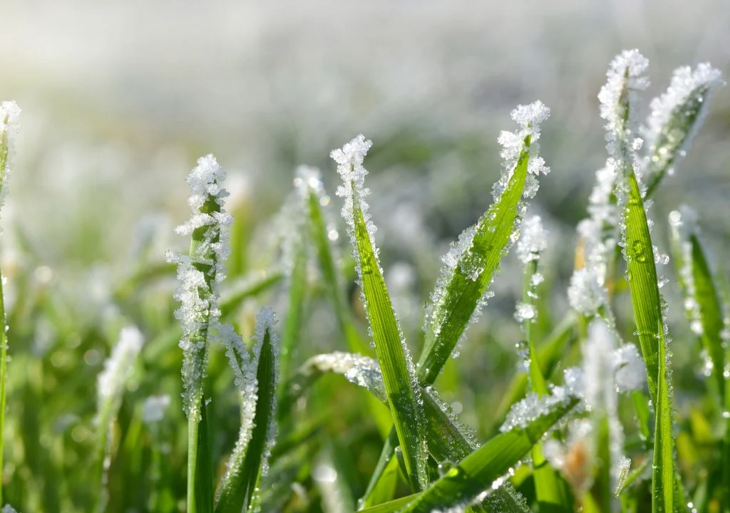Quarta-feira pode ser o dia mais frio do ano; temperaturas despencam ainda mais