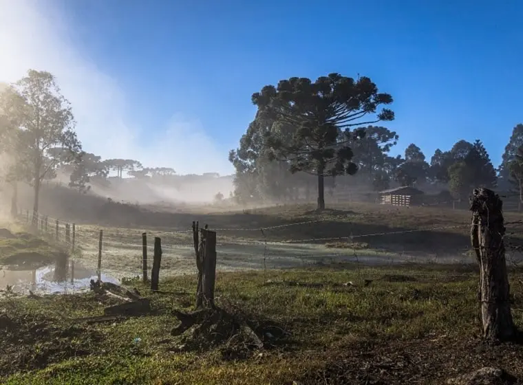 Onda de frio avança sobre o país, mas Sudeste fica de fora da massa polar