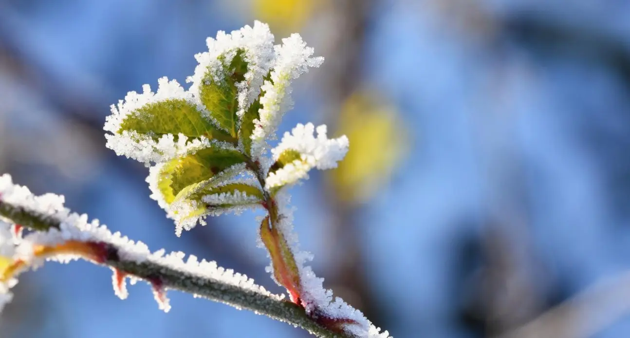 Massa de ar polar avança e deve derrubar temperaturas no sul de Minas